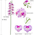 Fnize Faux Orchid Stems, 2pcs Artificial Flowers Phalaenopsis 38 Inch with Real Touch Latex