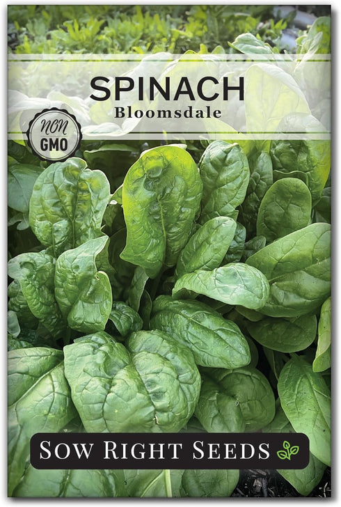 Sow Right Seeds - Bloomsdale Spinach Seeds for Planting - Non-GMO Heirloom