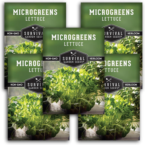 Lettuce Microgreen Seeds for Planting - Non-GMO Heirloom Lettuce Seeds to Grow