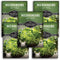 Lettuce Microgreen Seeds for Planting - Non-GMO Heirloom Lettuce Seeds to Grow