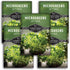 Lettuce Microgreen Seeds for Planting - Non-GMO Heirloom Lettuce Seeds to Grow