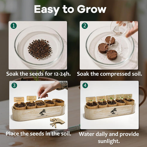 LUOJIBIE Bonsai Tree Kit for Beginners - Unique DIY Japanese Bonsai Trees,Crafts for Adults, Ideal Gardening Birthday