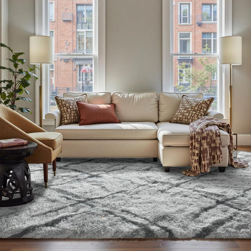 FinRec Area Rugs for Bedroom Living Room, 5x8 Feet Fluffy Shaggy Rug,