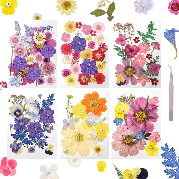 Gvhntk Dried Pressed Flowers Real Pressed Flowers Natural Dry Leaves Bulk Mixed Colorful