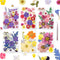 Gvhntk Dried Pressed Flowers Real Pressed Flowers Natural Dry Leaves Bulk Mixed Colorful