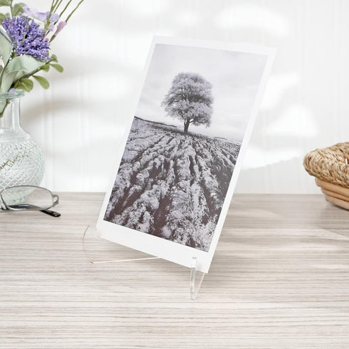 Plymor Clear Acrylic Easel 60-Degree Angle, 6" H x 4.5" W x 3.5" D with Shallow Support Ledges