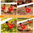 Pack 6 1/8 Inch Chicken Waterer Cups, of Chicken Waterer PVC Tee Fittings, with FTP Threads, Automatic Chicken Water