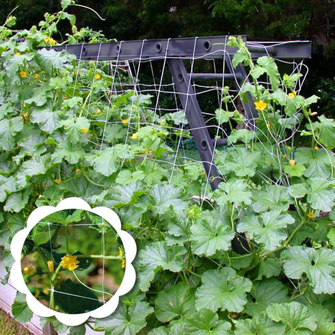 YHmall 2 Pack 5x15 Ft Heavy Duty Trellis Netting for Climbing Plants with 50 Pcs Garden Ties, Outdoor Grow Net
