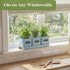 Set PERFNIQUE Indoor Herb Garden, Herb Garden Planter with Tray, Farmhouse Indoor Plant Pots, Windowsill Herb Garden