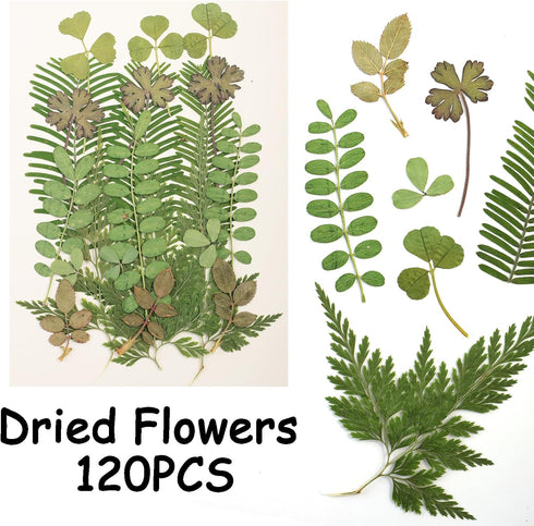 120Pcs Dried Pressed Leaves Flowers - Natural Dry Leaves Bulk Mixed Colorful Herbs Kit for Crafts