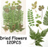 120Pcs Dried Pressed Leaves Flowers - Natural Dry Leaves Bulk Mixed Colorful Herbs Kit for Crafts