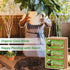 6pcs 100% Riare Organic Coco Coir Bricks Soil Blocks- Natural Compressed Coco Peat Brick Coconut Fiber Substrate