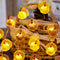 JASHIKA Fall Harvest 3D Turkey String Lights, Cute Decorative Lights Copper Wire