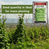 2 170 Pack Sow Right Seeds - Bulk Kentucky Wonder Pole Bean Seeds for Planting - Ounce, Seeds - Non-GMO Heirloom Jumbo