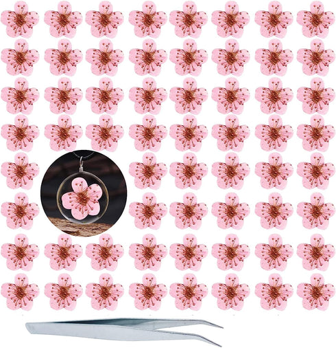 Dried Pressed Flowers for Resin, 60PCS Pink Real Pressed Dried Plum Blossom Flower for Scrapbooking DIY Crafts