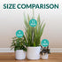 Willowy 6 Inch White Ceramic Plant Pot (Matte) - Planter for Indoor Plants with Drainage, White Pots