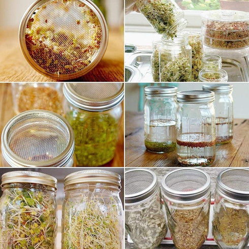 304 Stainless Steel Sprouting Lids - 6 Pcs for Wide Mouth Mason Jars, Making Organic Sprout Seeds