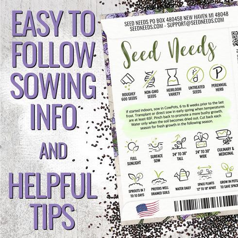 (1 Pack) Seed Needs Catmint Seeds for Planting an Indoor/Outdoor Herb Garden - Non-GMO Heirloom & Untreated Herbal