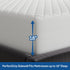 Sealy Luxury Cotton Top Fitted Mattress Pad, King Size, White