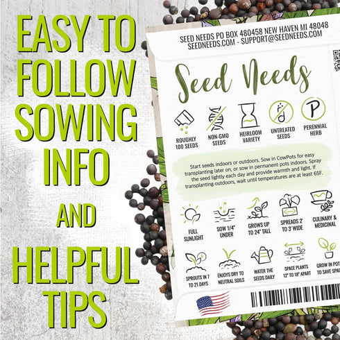 (1 Pack) Seed Needs Sage Seeds for Planting Broad Leaved Herbs - Non-GMO Heirloom & Untreated Culinary Herb Seed