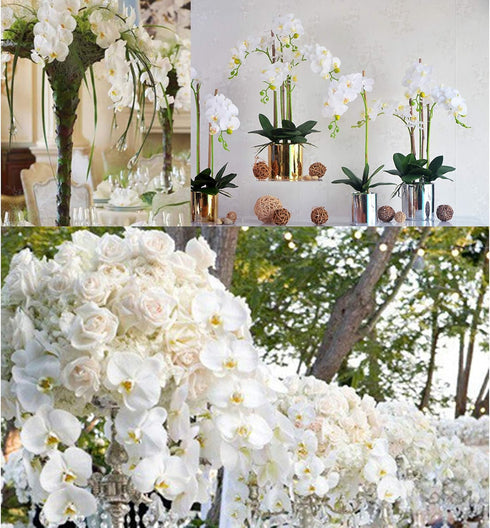 FagusHome 6 Pcs Artificial Phalaenopsis Flowers with 6 Bundles Leaves, Artificial Orchid Flowers Stem Plants for Home