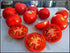 Campari Tomato Seeds - Sweet Vine Variety
