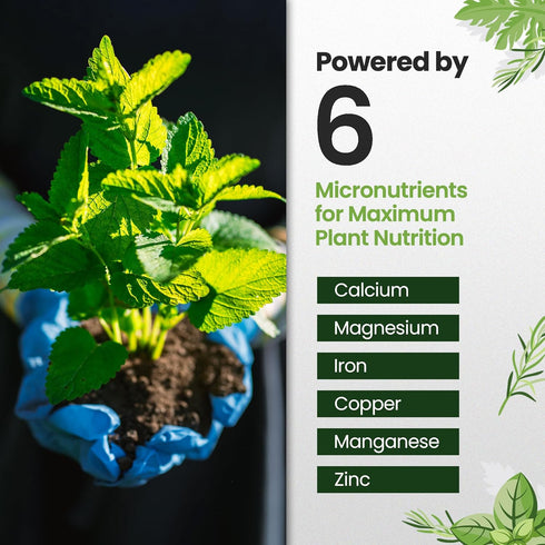 HiThrive 16oz 24 Liquid Fertilizer for Vegetable Garden Makes Gallons of Garden Fertilizer for Outdoor Vegetables