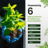 HiThrive 16oz 24 Liquid Fertilizer for Vegetable Garden Makes Gallons of Garden Fertilizer for Outdoor Vegetables