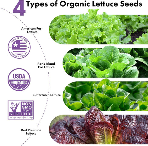 System,350 (12-Pods) LYKOCLEAN Salad Romaine Lettuce Seed Pods for AeroGarden,Ahopegarden, iDOO Hydroponics Growing
