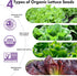System,350 (12-Pods) LYKOCLEAN Salad Romaine Lettuce Seed Pods for AeroGarden,Ahopegarden, iDOO Hydroponics Growing