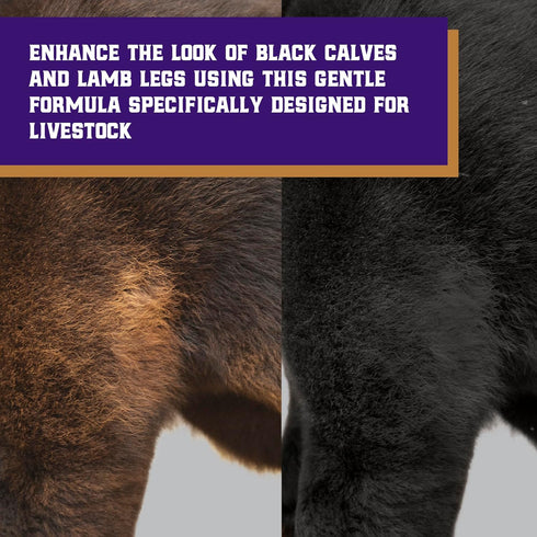 5 Weaver Livestock ProDye Deep Black Hair Dye for Show Cattle & Sheep, Uniform Coverage, Gentle Formula, Bottle Animal