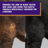 5 Weaver Livestock ProDye Deep Black Hair Dye for Show Cattle & Sheep, Uniform Coverage, Gentle Formula, Bottle Animal