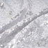 YOUR SMILE Pack of 2 Luxury Series Silver Decorative Sequin & Satin Throw Pillow Covers, 18" x 18"