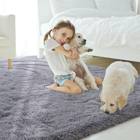 4x5.3 Amearea Premium Soft Area Rug Feet, Grey Rugs for Living Room, Fluffy Carpet for Bedroom Nursery Playroom Teen
