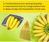 Gadgetime USA - Banana Drawstring Preserve Bag to Keep Fresh for Longer & Prevent Ripening - Reusable & Washable