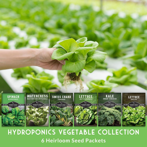 Hydroponics Vegetable Seed Collection for Planting - Watercress, Spinach, Siberian Kale, Swiss Chard, Buttercrunch