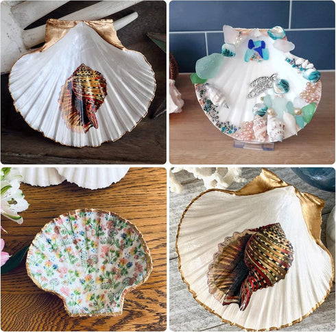 25pcs White Scallop Shells, 2-3 Inches Natural Seashells for DIY Crafts, Home Decor, Baking Shells