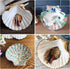 25pcs White Scallop Shells, 2-3 Inches Natural Seashells for DIY Crafts, Home Decor, Baking Shells