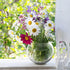 YARNOW Self Watering Round Glass Flower Pot, Wick Rope for House Plants, Hydroponics, and Semi-Hydroponics