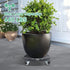 16-20 Inch, W B D WEIBIDA Round Dolly with Wheels Heavy Duty, Adjustable Pot Dolly Large Plant Mover Indoor Outdoor