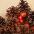 Whaline 25 Pcs Christmas Pine Cones Decoration with String, Natural Rustic Pinecones Bulk Ornaments for Crafting