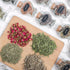 DreamdaMoonnly 20 Witchcraft Supplies Herbs Kit - Pcs Dried Herbs and Flowers for Witch Starter - Spell Herbs Jars