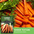 (2 Packs) Tendersweet Carrot Seeds for Planting Sweet, Smooth-Textured Heirloom Variety for Home Gardens Excellent