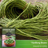 3 Packets Asparagus Yard Long Bean Seeds for Planting with Instructions to Grow Yardlong Pole Beans in Your Home