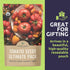 Pack 17 Packs 2026 Organic Tomato Ultimate Seed Variety - Individual - Season - Black Krim, Golden Jubilee, Cherokee