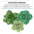 Set 3 Global Sugar Art Succulents Sugar Cake Flowers, of by Chef Alan Tetreault