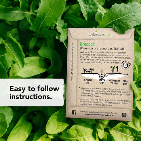 13 Vegetable Seeds for Planting: Heirloom Veggie Seeds for Planting Home Garden: Tomatoes Lettuce Beets Bell Pepper