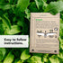 13 Vegetable Seeds for Planting: Heirloom Veggie Seeds for Planting Home Garden: Tomatoes Lettuce Beets Bell Pepper