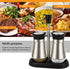 Evelyne 2-Piece Set Salt & Pepper Glass Shaker with Stainless Steel Cover and Tray