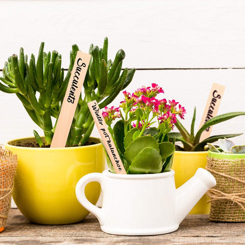 Whaline 50Pcs Wooden Plant Labels with Marker Pen, Eco-Friendly Garden Markers for Seed Potted Herbs